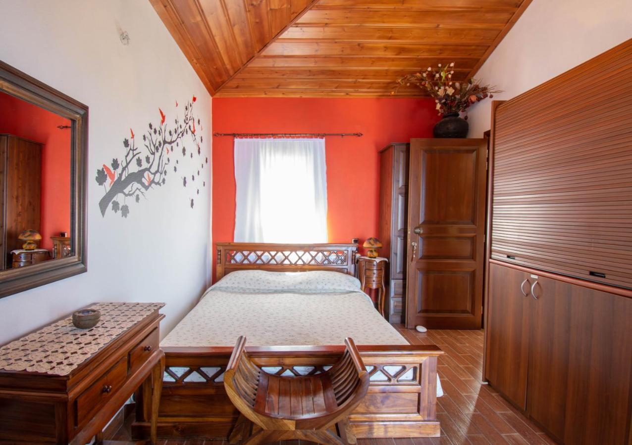 Traditional Guesthouse 4 Epoches Zagora Exteriér fotografie